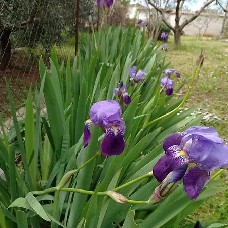 Appartement Soline - Emozione Vinkuran
