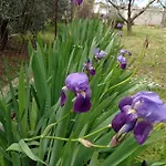 Apartamento Soline - Emozione Vinkuran