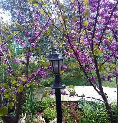 아파트 Soline - Emozione